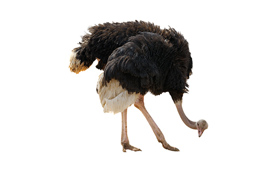 Danskerne spiser gerne eksotisk kød