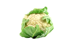 Mest kål i Sønderjylland