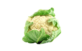 Mest kål i Sønderjylland