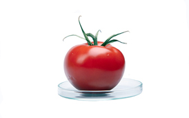 Én ud af tre ved, hvad GMO er