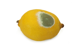 Én ud af fire returnerer dårlige varer