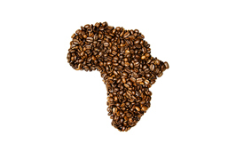 Flertal: Afrika skal udvikles gennem handel