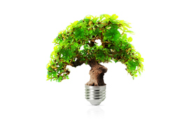  Der er både positive og negative forskydninger i danskernes grønne forbrug