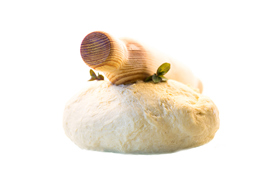 Sådan har Corona påvirket danskernes forbrug