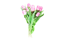 Mors dag lever i bedste velgående