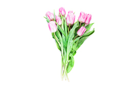 Mors dag lever i bedste velgående