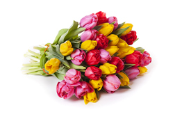 Højtider kalder på afskårne blomster