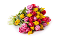 Højtider kalder på afskårne blomster